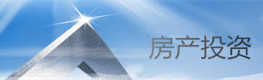 新澳东房地产